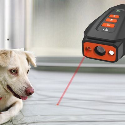 Dog looking at Bark Stopper device with laser projection.