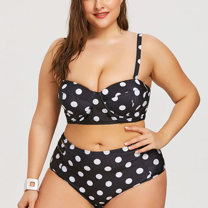 Retro Polka Dot High-rise Bikini Swimsuit