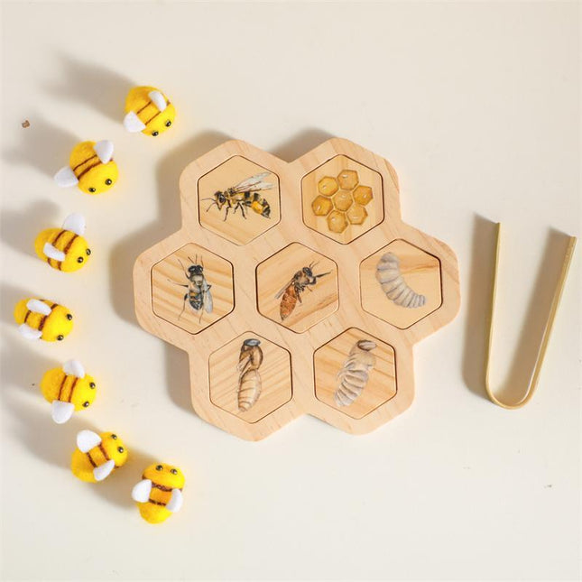 Montessori Science Teaching Aids Bee Toys