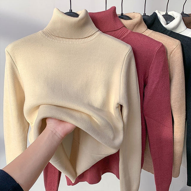 Turtle Neck Winter Sweater