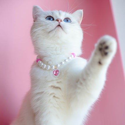 Collier de perles pour chat de compagnie
