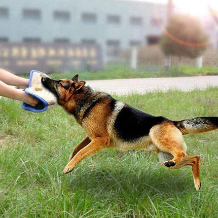 German Shepherd training with bite pillow in outdoor setting.