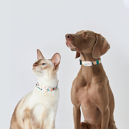 Équipement portable de détection d'activité pour chien de compagnie