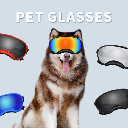 Lunettes de ski pour chien