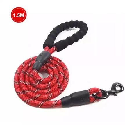 Chaîne de laisse lumineuse pour chien de petite et moyenne taille