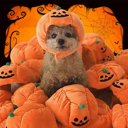 Chapeau de citrouille drôle d'Halloween