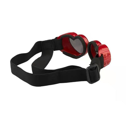 Lunettes pour animaux de compagnie