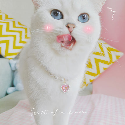 Collier de perles pour chat de compagnie