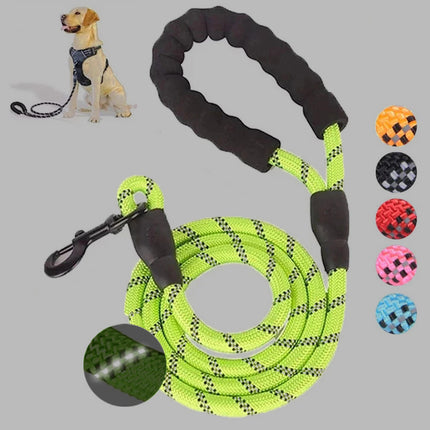 Chaîne de laisse lumineuse pour chien de petite et moyenne taille