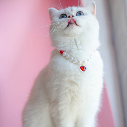 Collier de perles pour chat de compagnie