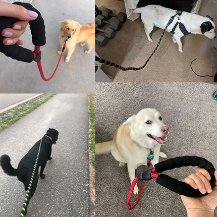 Chaîne de laisse lumineuse pour chien de petite et moyenne taille