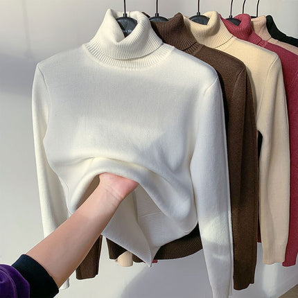 Turtle Neck Winter Sweater