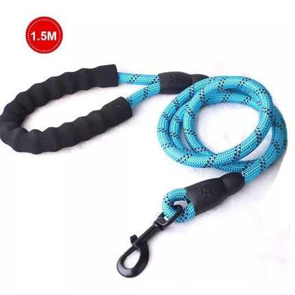 Chaîne de laisse lumineuse pour chien de petite et moyenne taille