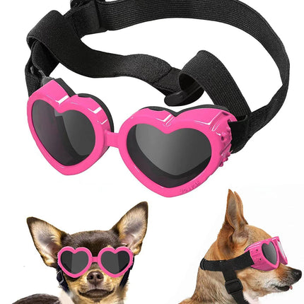 Lunettes pour animaux de compagnie